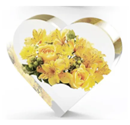 Naturesin stampo silicone cuore resina 19,5x16,5 cm