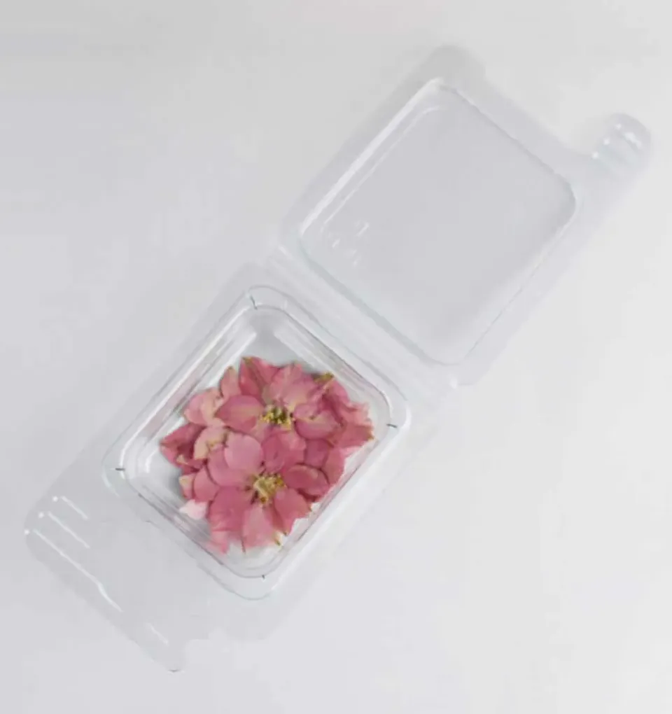 Naturesin Fiorellini Secchi Rosa 12 Pezzi decorazioni resina