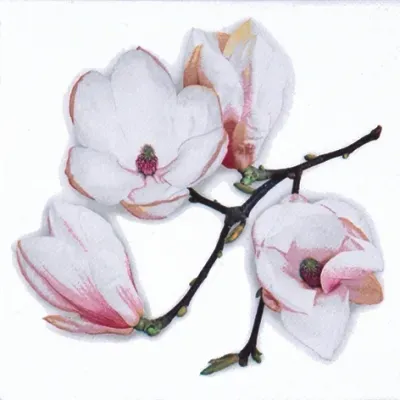 Deco Foam 980 tovagliolo decoupage 33x33cm fantasia