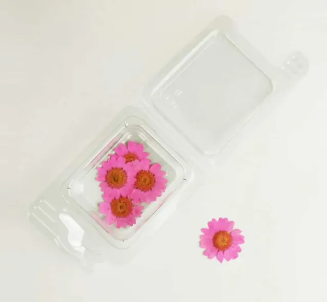 Naturesin Fiori Secchi Camomilla 12 pezzi per resina