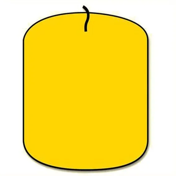 Deco Foam No22 colore paraffina giallo oro 20 g