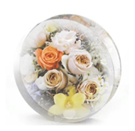 Naturesin Stampo Silicone Rotondo 20cm Sottobicchieri