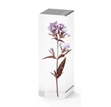 Naturesin Rettangoli 15,5x5,5x5,5 cm cassaforma per resina