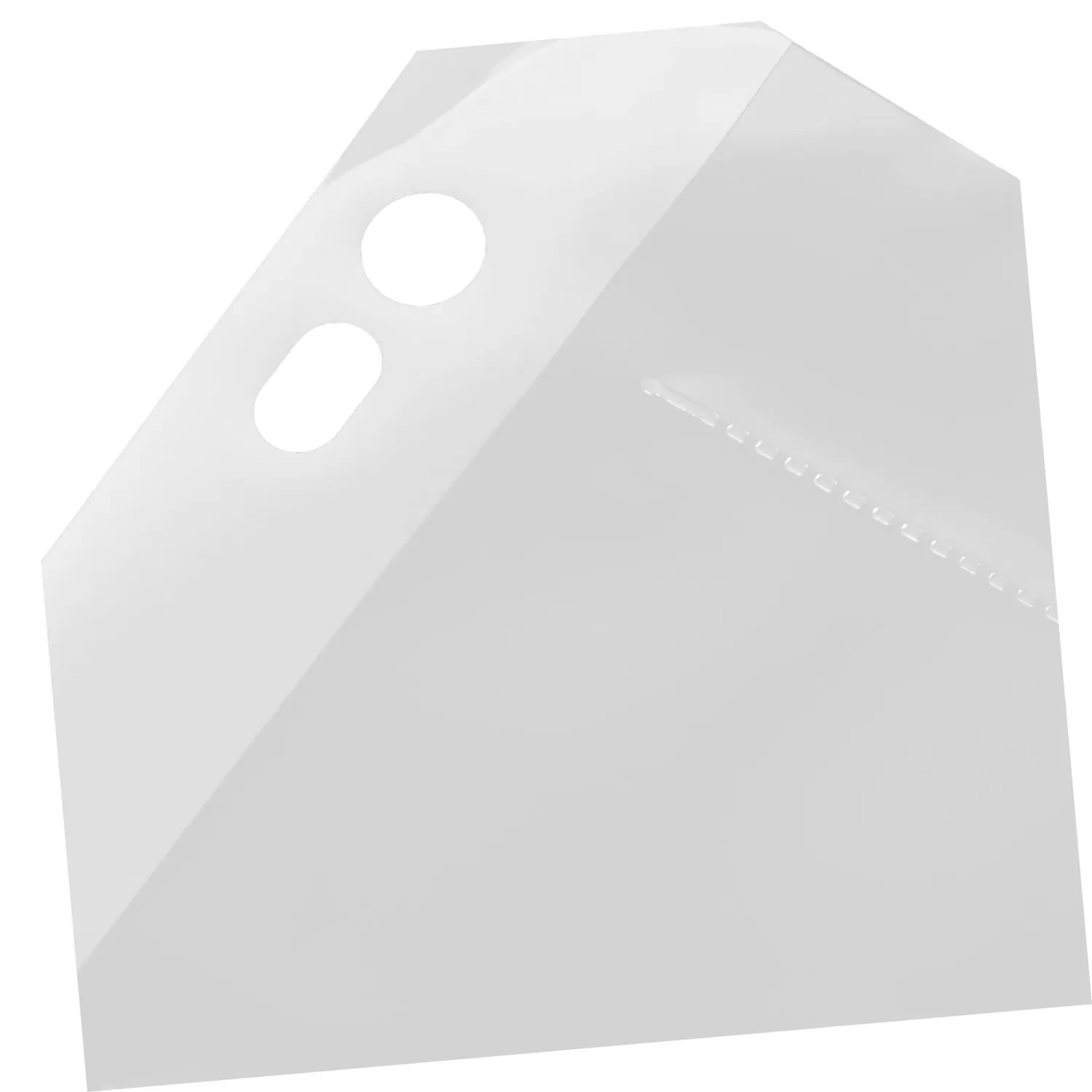 Angoily Buste Porta Negativi 10 Pezzi 28,5x25,7 cm Antipolvere